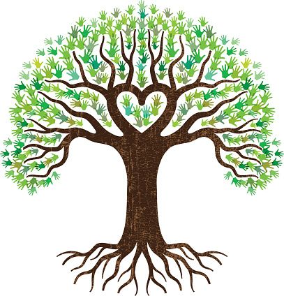 Haefner Family Tree